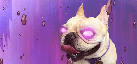 Create meme: purple dog, bulldog on a pink background, dog 