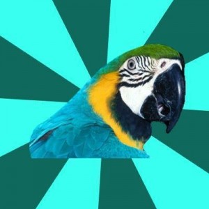 Create meme: birds, beak, beak