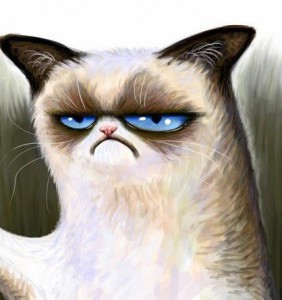 Create meme: grumpy cat, grumpy cat, meme disgruntled cat