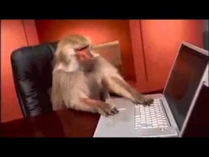 Create meme: the crazy monkeys at the computer, website monkey behind a computer, monkey at the keyboard gif