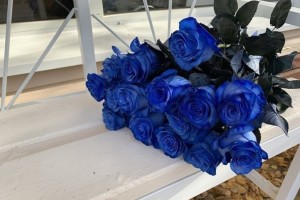 Create meme: blue roses