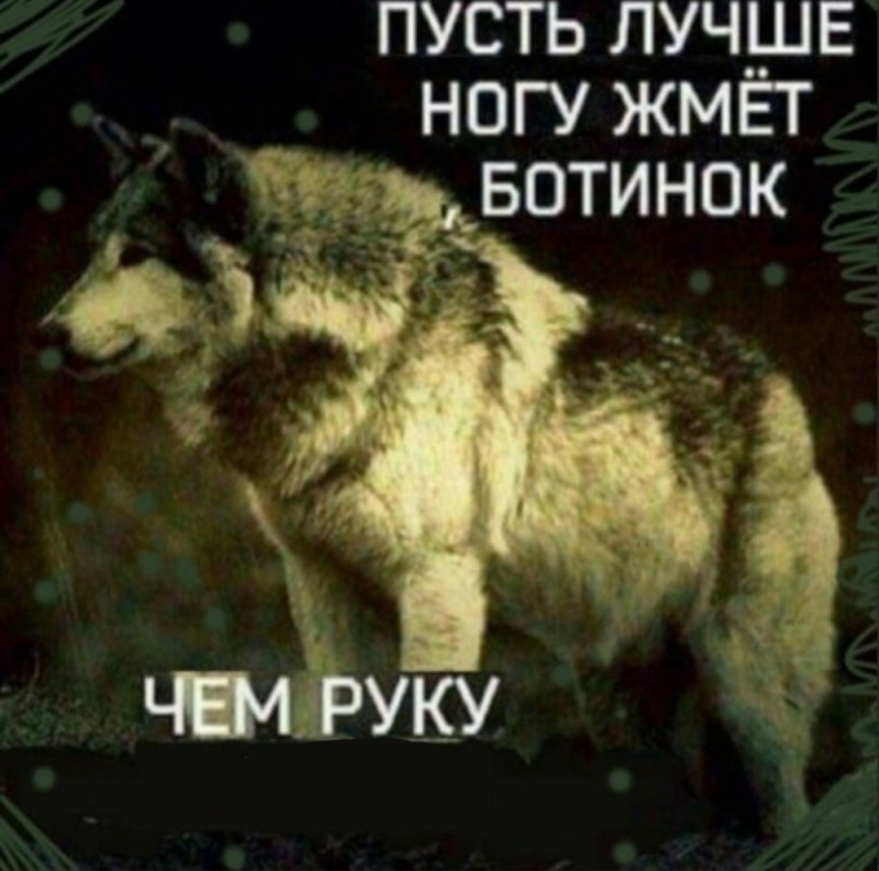 Создать мем: волки с надписями, пусть лучше ногу жмет ботинок чем руку подлый человек, пусть лучше ногу жмет ботинок