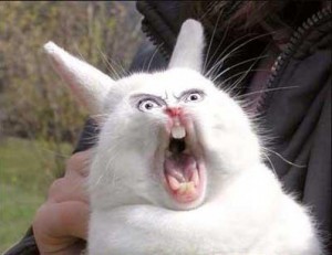 Create meme: yawning rabbit, screaming rabbit