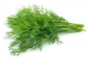 Create meme: fresh dill, greens dill, dill