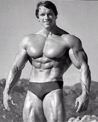 Create meme: huge muscles, the son of Arnold Schwarzenegger, bodybuilding