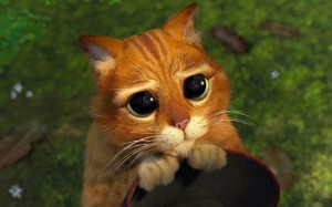 Create meme: Shrek cat with big eyes, the cat from Shrek, Shrek cat