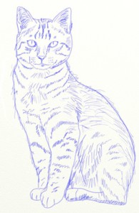 Create meme: real cat, draw a cat, cats