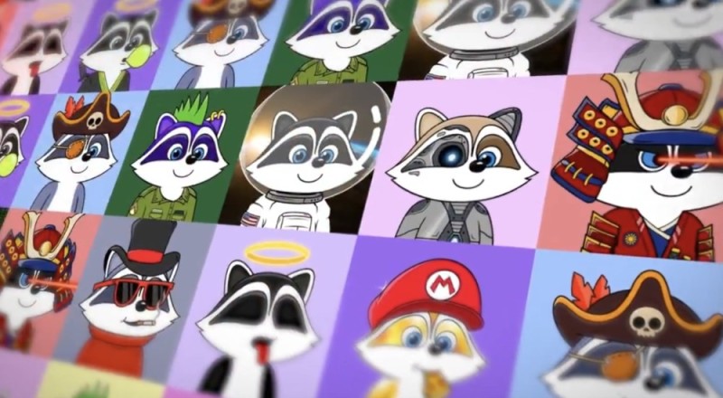 Create meme: Raccoons animated series, raccoon , The cartoon raccoon