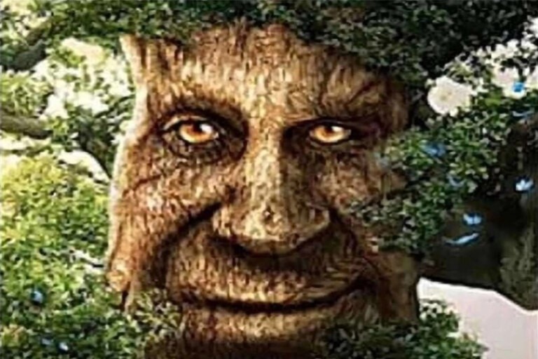 Create meme: a wise tree with a face, a tree with a face, wise mysterious tree