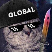 Create meme: ava for cs go, avatars for cs go, to download a picture of a cat cs go