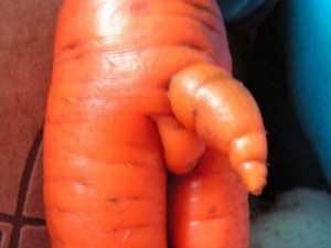 Create meme: carrots