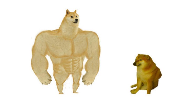 Create meme: doge is a jock, the pumped-up dog from memes, inflated dog meme