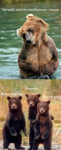 Создать мем: медведь медвежонок, медведь животное, медведь