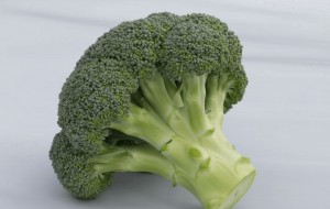 Create meme: broccoli, broccoli, 483×374
