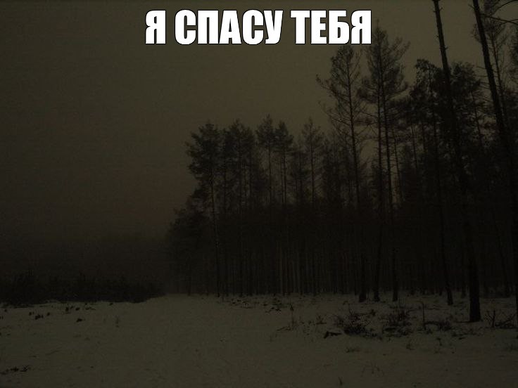 Create meme: scary winter forest, dark winter forest, The dark forest the woods 2005