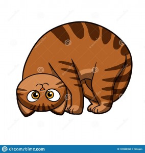 Создать мем: вектор кот, кот, иллюстрация большой маленький кошки