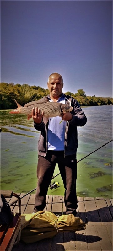 Create meme: barbel fish, male , fishing 