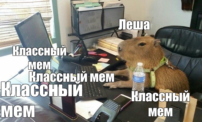 Создать мем: null