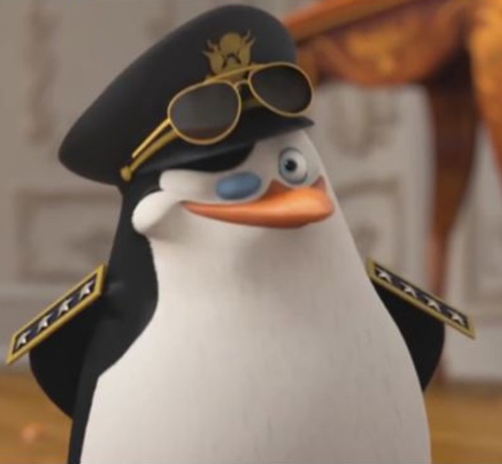 Create meme: the penguins of Madagascar skipper, skipper the penguin, heroes 