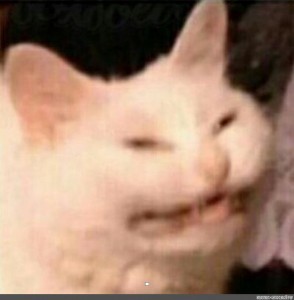 Создать мем: кот мем, упоротое лицо кота, кот улыбается мем