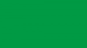 Создать мем: на зеленом фоне, зелёный однотонный фон, квадрат зеленого цвета