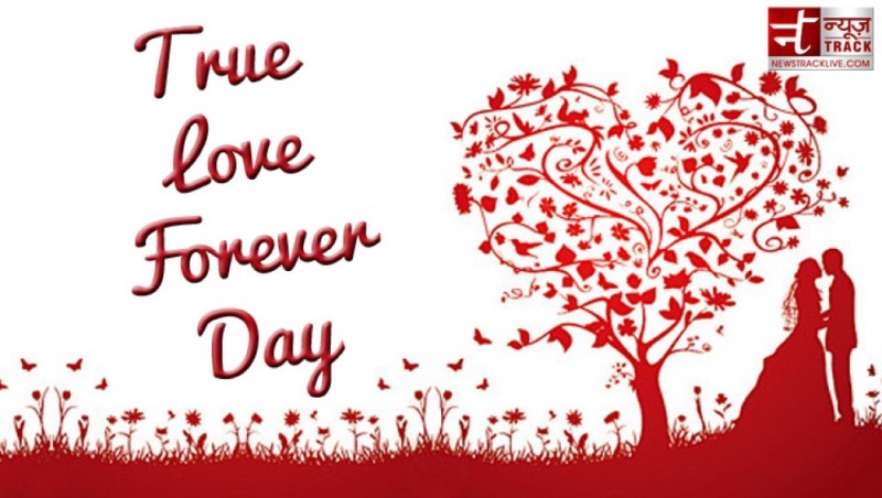 Create meme: valentine's day love tree, tree heart silhouette, happy valentine's day