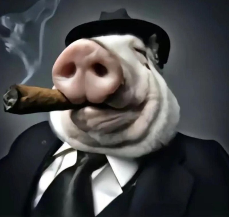 Создать мем: крутая свинья, свинья в пиджаке, свинья гангстер