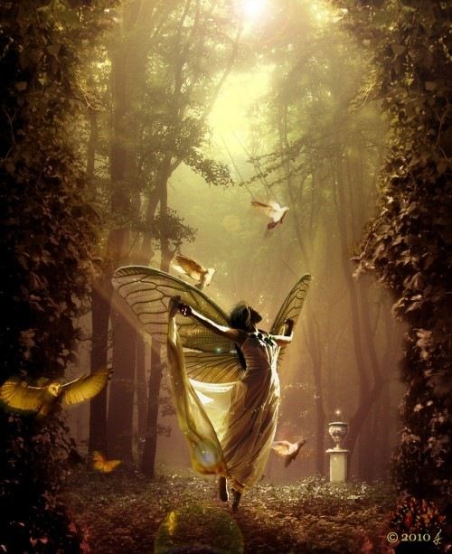 Create meme: forest fairy, fairies of nature, fairy tale fairy