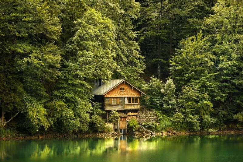 Create meme: a house in the forest, a house in the woods by the lake, house in the forest by the river