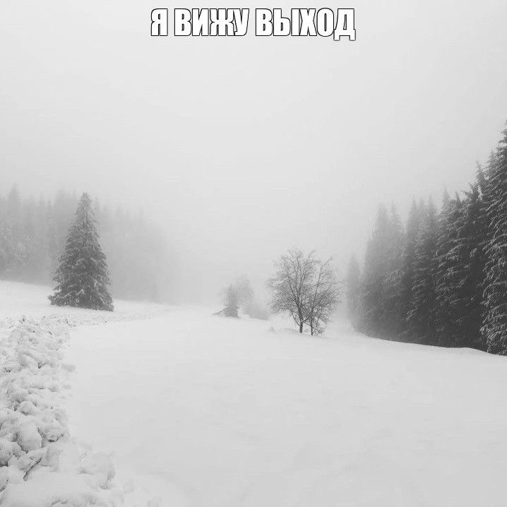 Create meme: winter snow , Winter forest blizzard, winter landscape