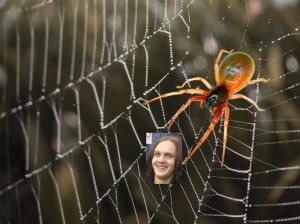 Create meme: spiders, spider spider, the spider's web.