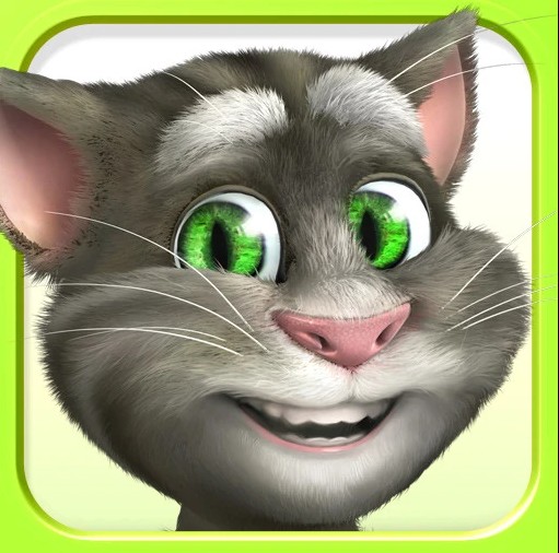 Create meme: cat Tom , talking Tom cat , talking tom cat