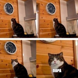 Create meme: memes with cats, meme the cat and watches, meme the cat and the clock time