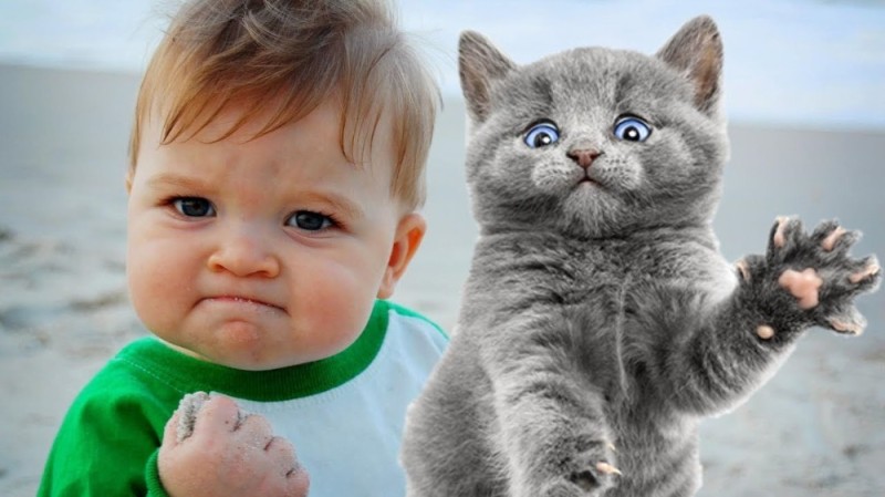 Create meme: kitty babies are funny, baby be good, cat 