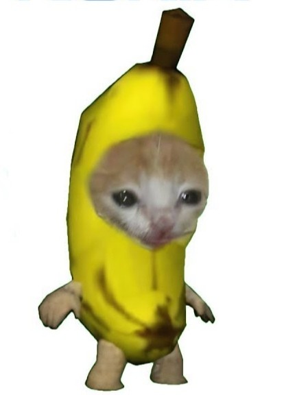 Create meme: a cat in a banana costume, a cat in a banana costume meme, banana jojo