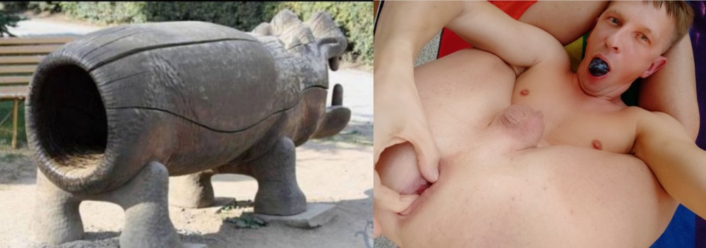 Create meme: behemoth point, Hippo , rhino's ass