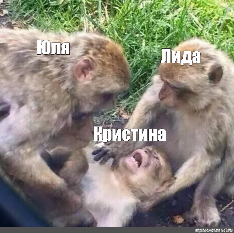 Лида юля