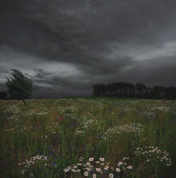 Создать мем: пасмурная природа, пейзаж мрачный, under a dark sky