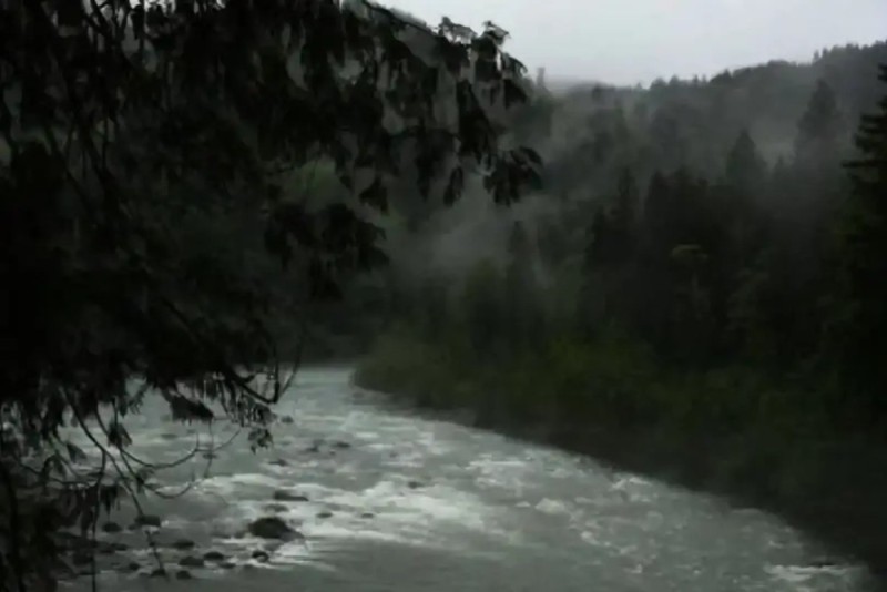 Создать мем: красота природа, a river running through a forest, пейзаж мрачный