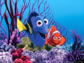 Create meme: pictures of cartoons, finding nemo, kayıp balık nemo