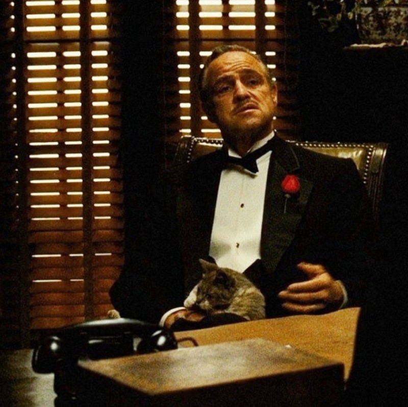 Create meme: Vito Corleone, but you're doing it without respect, a frame from the movie