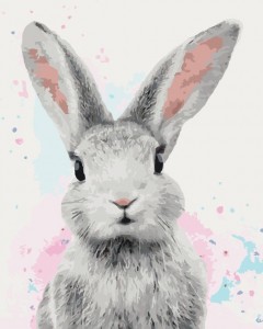 Создать мем: заяц, постер кролик, кролик