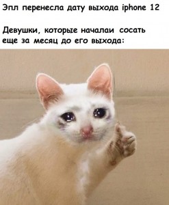 Create meme: memes, weeping cats, unfunny memes