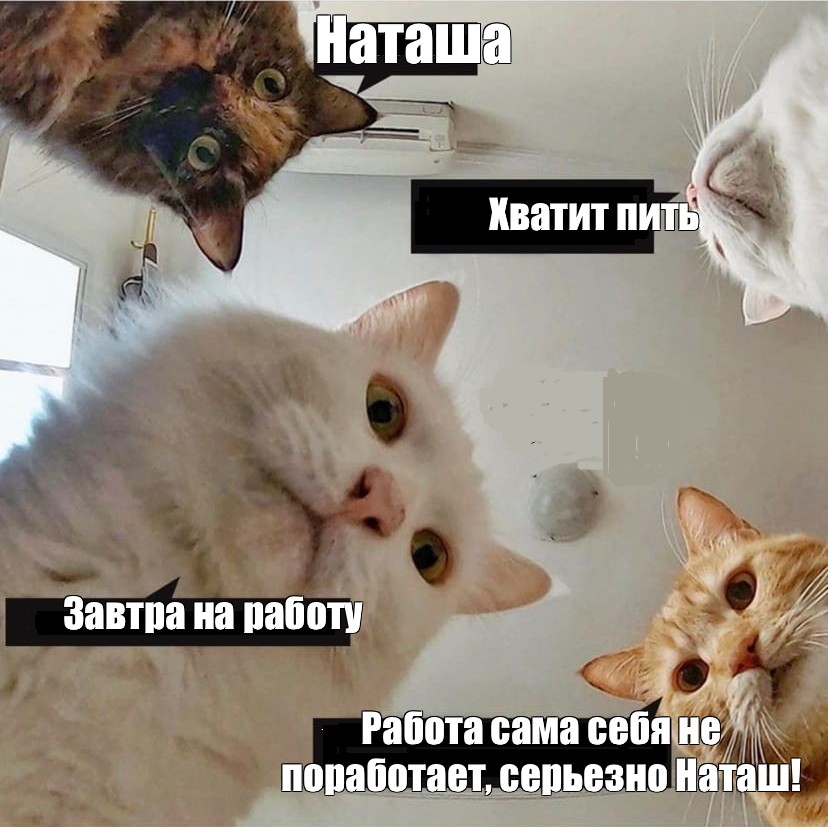 Meme: Наташа Хватит пить Завтра на работу Работа сама себя не