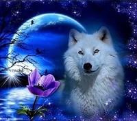 Create meme: moon wolf, wolf moon background, white wolf