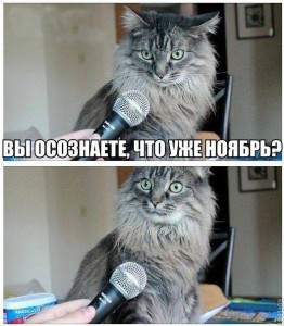 Создать мем: кот с микрофоном мем, мем кот, кот