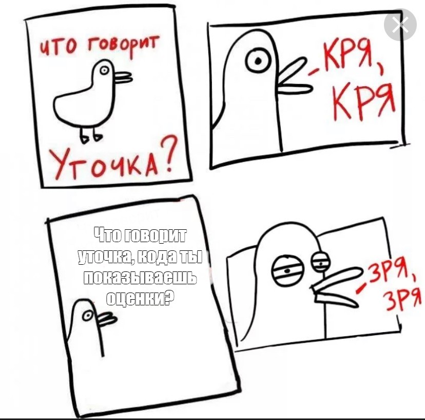 Все зря картинка