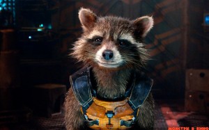 Create meme: guardians of the galaxy, talking raccoon, Arina Privat raccoon