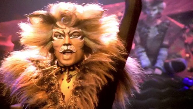 Create meme: tugger, cats musical, cat 