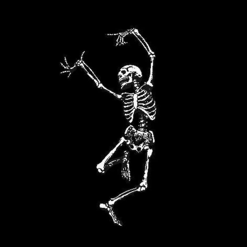 Create meme: skeleton on a black background, dancing skeletons, dancing skeleton